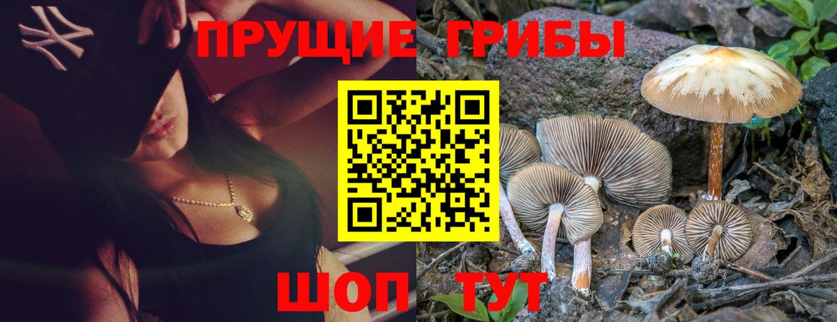 Галлюциногенные грибы GOLDEN TEACHER  Вход с VPN  Кувандык 